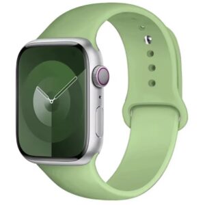 Bracelets Apple Watch